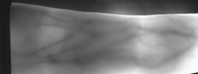 029_L_1.png