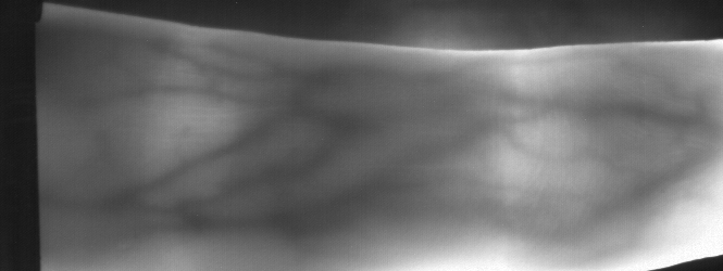 029_L_2.png