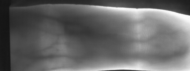 029_R_2.png