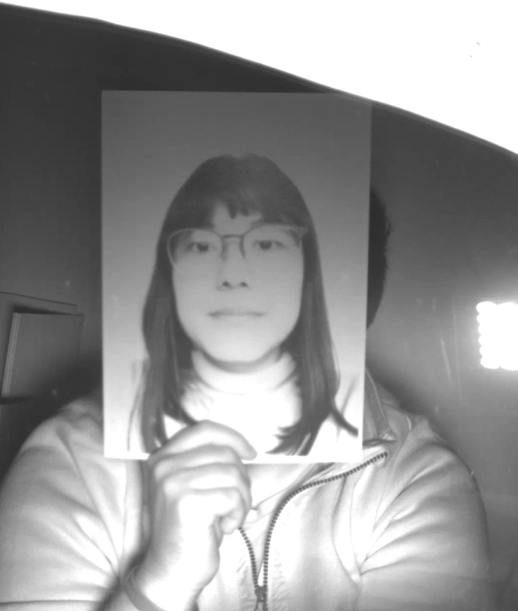 Laser-matte print, medium tint