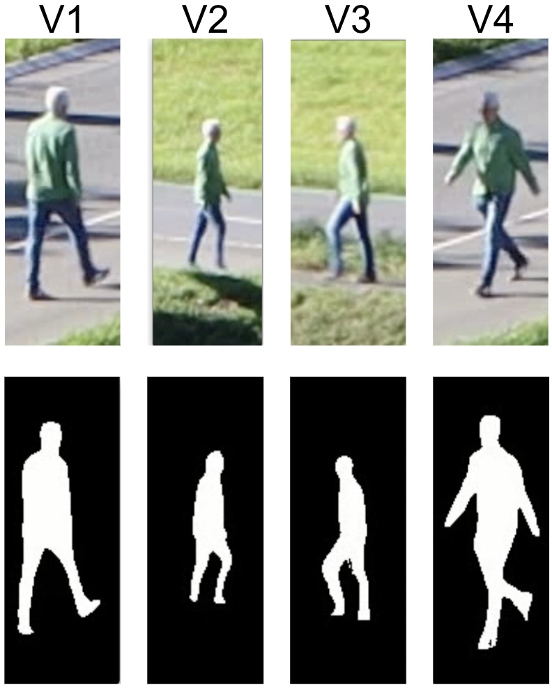 gait multi-view samples