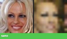 Verification pair degraded to 14 pixels