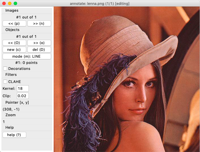 Main annotation window