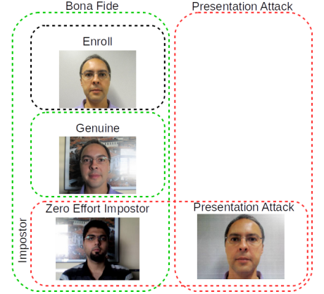 Four different samples organized to display the different classes of PAD.