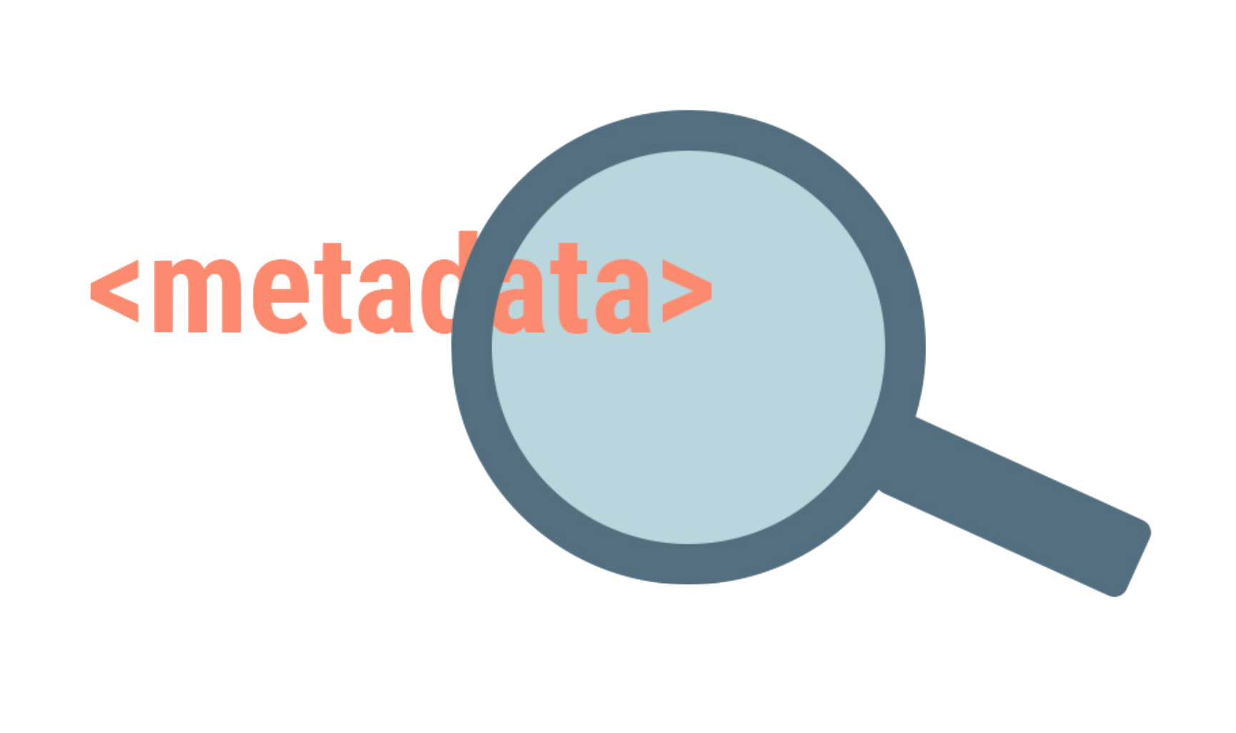 _images/metadata.png