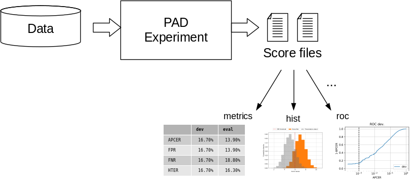 The data is fed to the PAD pipeline, which produces scores files. Scripts allow the evaluation with metrics and plots.