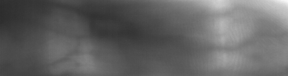029_R_2.png cropped/bf/029-m/029_R_2.png