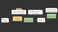 Adjustable Deterministic Pseudonymization of Speech