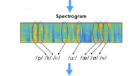 Can sparsity be our friend? Challenges in learning meaningful representations from speech