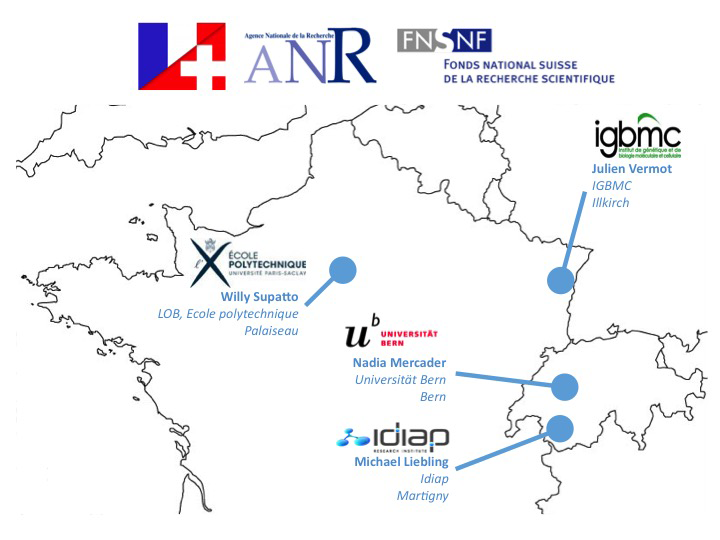 Map of collaboration network